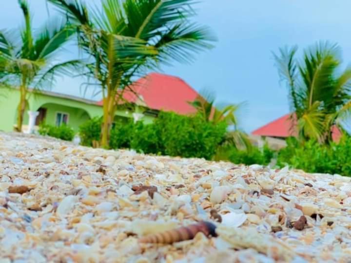 Bosofet Beach And Creek Lodge Sanyang ภายนอก รูปภาพ