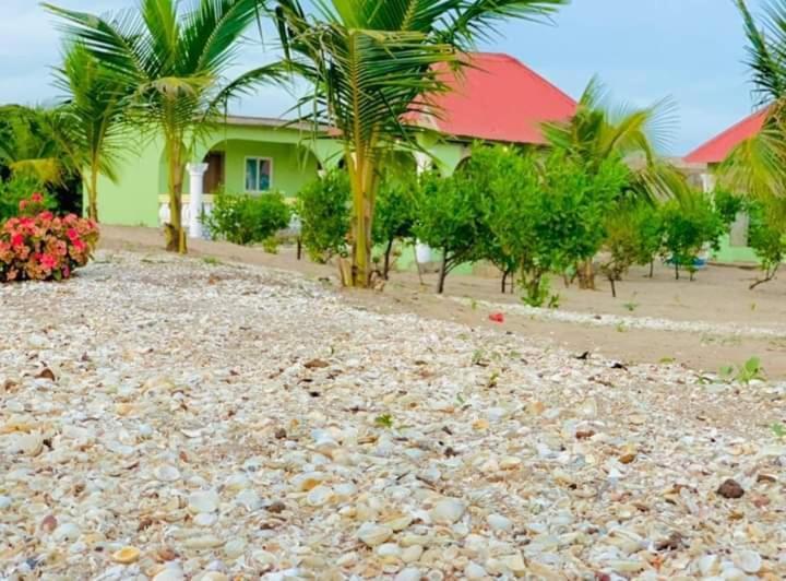 Bosofet Beach And Creek Lodge Sanyang ภายนอก รูปภาพ